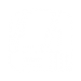 Icon: Orthopedic Trauma